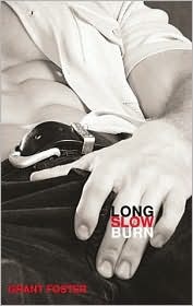 Long, Slow Burn: Masterful Gay Erotica (Paperback)