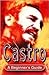 Castro: A Beginner's Guide