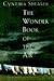 The Wonder Book of Air: A novel