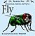 FLY (Bouncing Bugs)