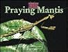 Bugs - Praying Mantis Bugs - Praying Mantis