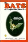 The Bats of Europe and North America: Knowing Them, Identifying Them, Protecting Them (Hardcover)