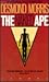 The Naked Ape by Desmond Morris