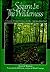 Sojourn in the Wilderness: A Seven Month Journey on the Appalachian Trail