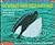 Do Whales Have Belly Buttons?: Questions and Answers About Whales and Dolphins (Question and Answer)