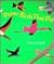 Paper Birds That Fly