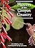 Flowers of the Canyon Country