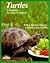 Turtles: How to Take Care of Them and Understand Them