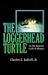 The Loggerhead Turtle in the Eastern Gulf of Mexico