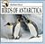Birds of Antarctica (Antarctica)