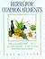Herbs for Common Ailments