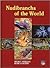 Nudibranchs of the World
