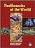 Nudibranchs of the World by Helmut Debelius