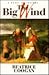 The Big Wind: A Novel of Ir...