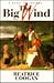 The Big Wind A Novel of Ireland by Beatrice Coogan