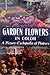 Garden Flowers in Color by Daniel J. Foley