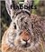Rabbits (Naturebooks)