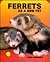 Ferrets as a New Pet