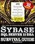 Sybase SQL Server 11 Dba Su...