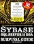 Sybase SQL Server 11 Dba Survival Guide by David S. Solomon