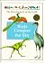 Birds Conquer the Sky (Development of the Earth)