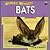 World's Weirdest Bats