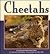 Cheetahs (Nature Watch)