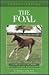 Understanding the Foal: You...
