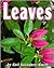 Leaves (Pebble Books)