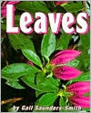 Leaves (Pebble Books)