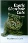 Exotic Shorthair Cats by D Macleod