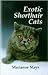 Exotic Shorthair Cats
