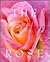 The Rose