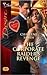 The Corporate Raider's Revenge (Suite Secrets, #1)