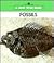 I want to know about...Fossils/Cowboys (A New True Book)