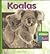 Koalas (Animals Are Fun)