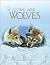 We Are Wolves by Molly Grooms