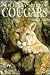 Cougars: Solitary Spirits (...