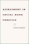 Assessment in Social Work Practice Assessment in Social Work Practice