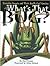 What's That Bug? : Everyday...