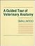 A Guided Tour of Veterinary Anatomy: Domestic Ungulates and Laboratory Mammals