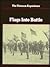 Flags Into Battle (The Vietnam Experience, #21)