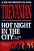 Hot Night in the City by Trevanian