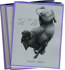 What I Want And What I Want (chapbook)