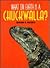 What on Earth Is a Chuckwalla?