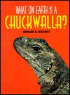 What on Earth Is a Chuckwalla? (Library Binding)