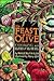Feast of the Olive by Maggie Blyth Klein