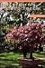 Dwarfed Potted Trees: The B...