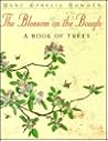 The Blossom on the Bough The Blossom on the Bough