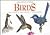 The Little Guides: Birds
